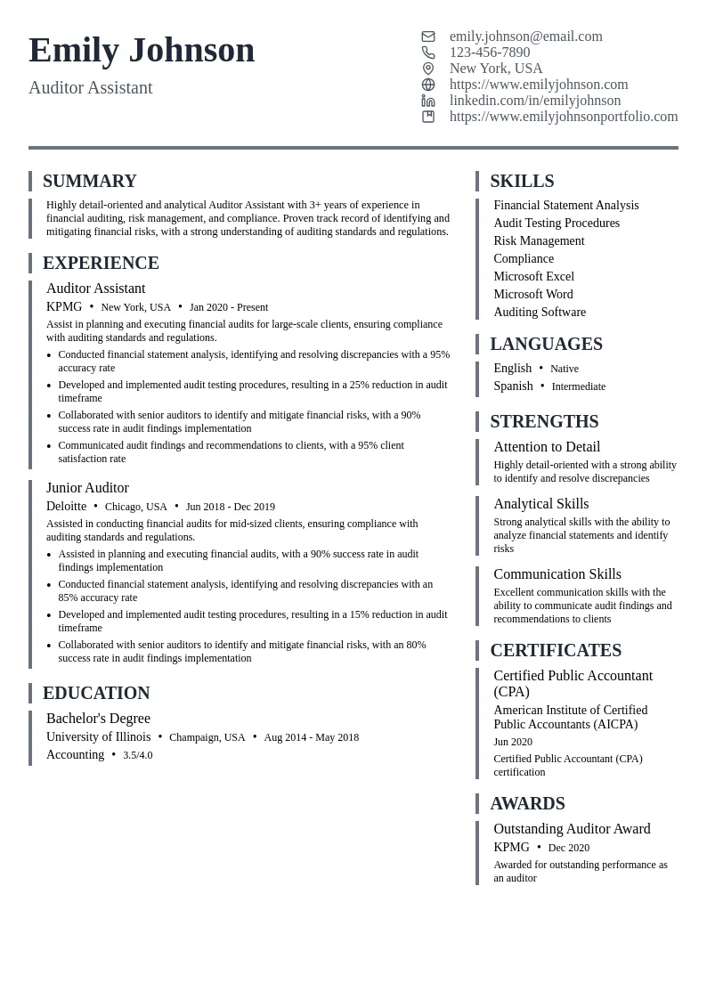 Auditor Assistant resume example
