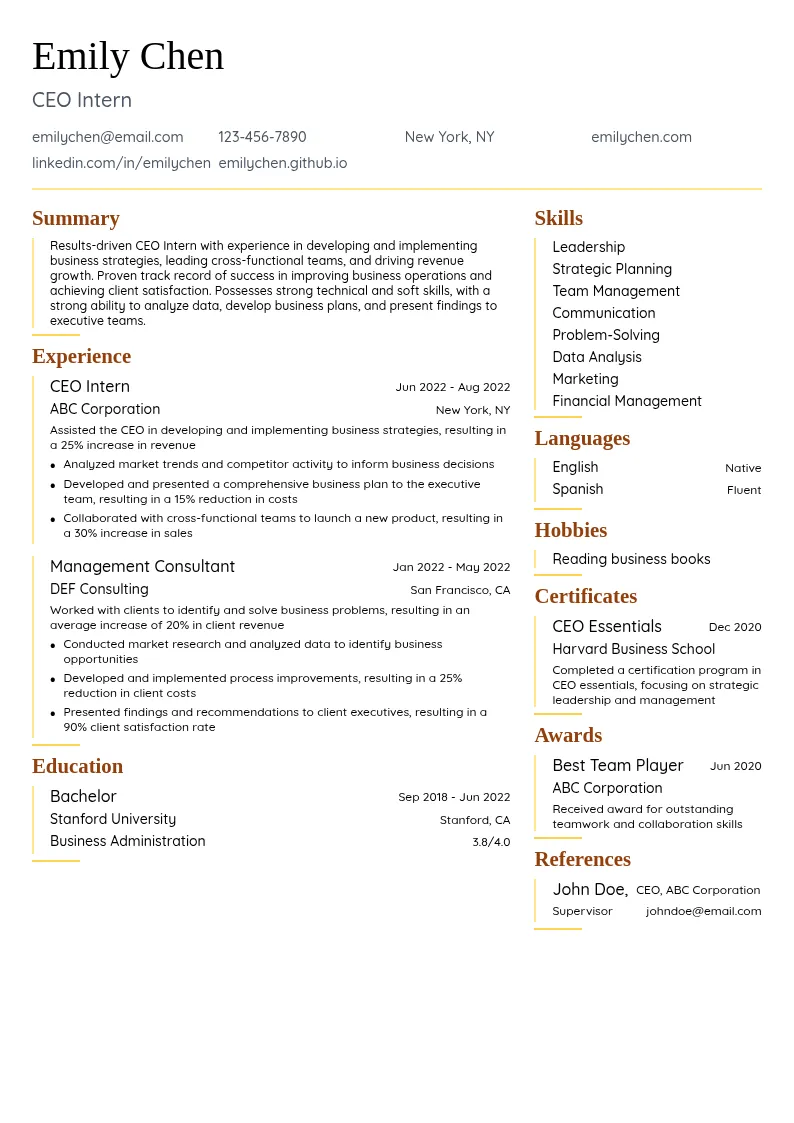 CEO Intern resume example