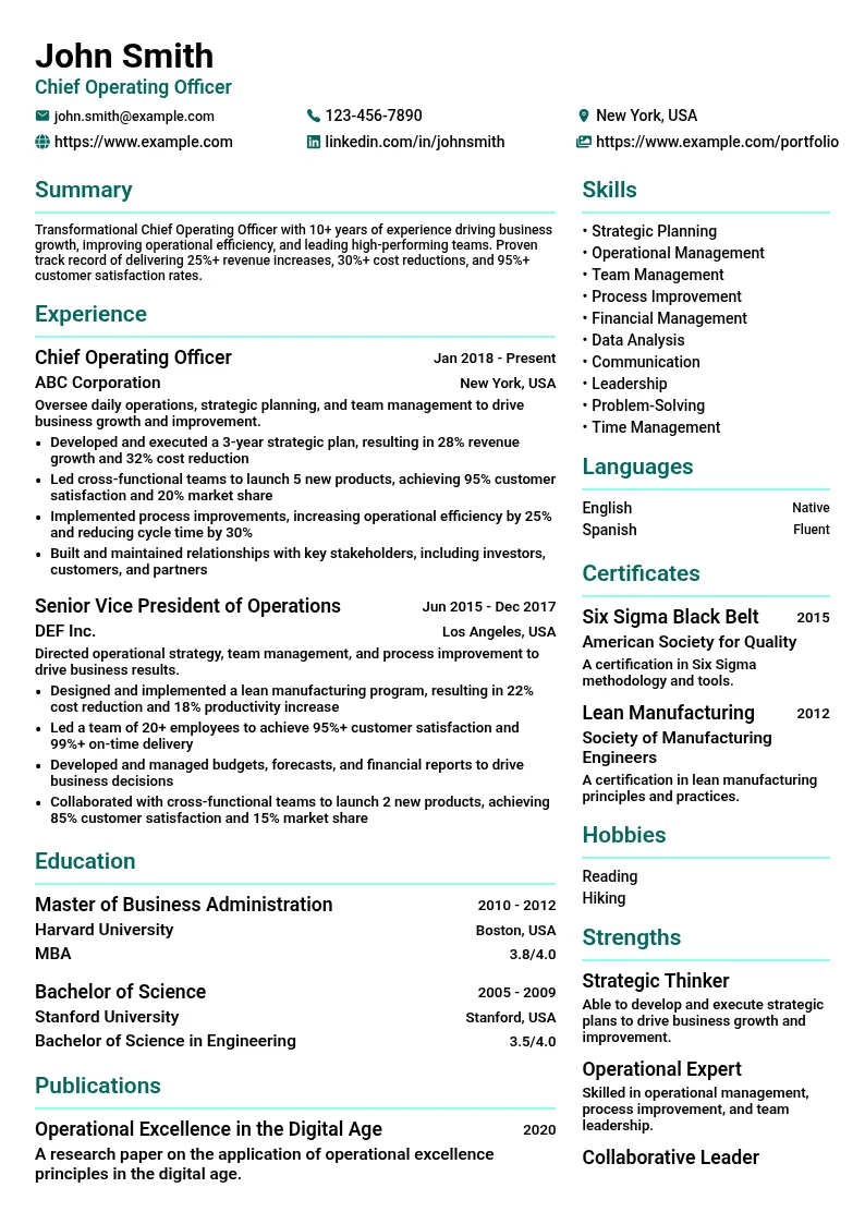 Chief Operating Officer resume example