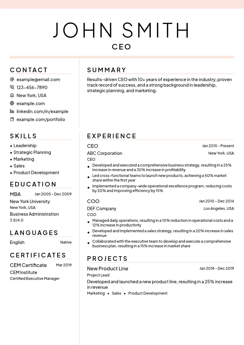 CEO resume example