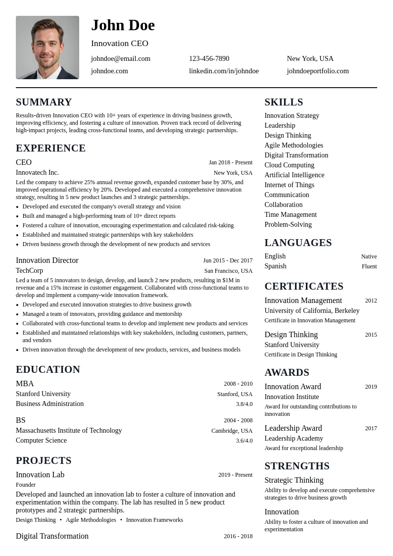 Innovation CEO resume example