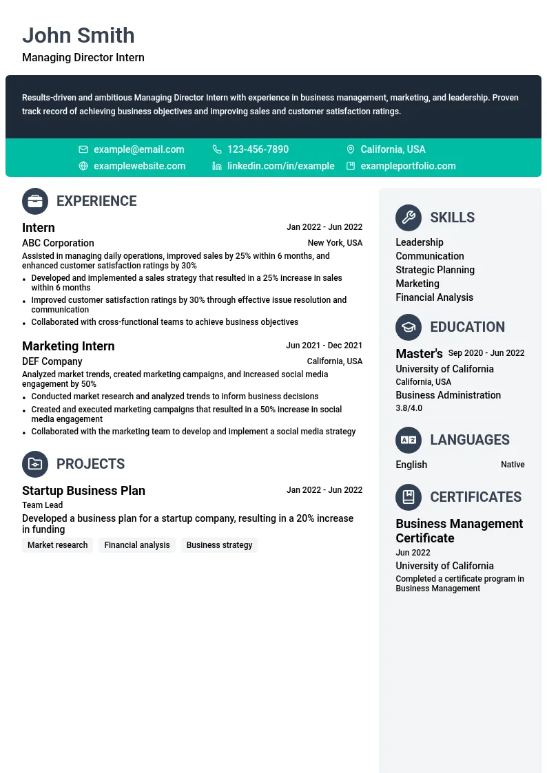 Managing Director Intern resume example