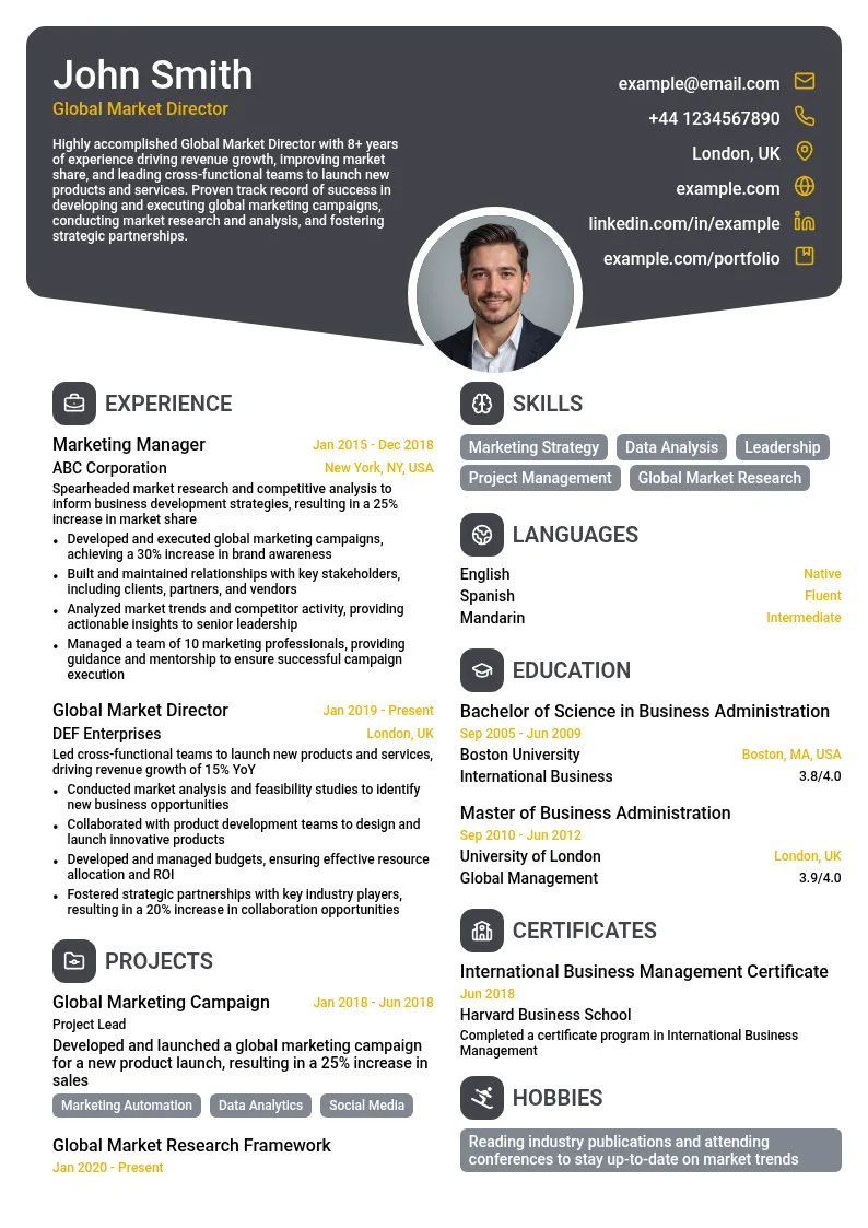 Global Market Director resume example