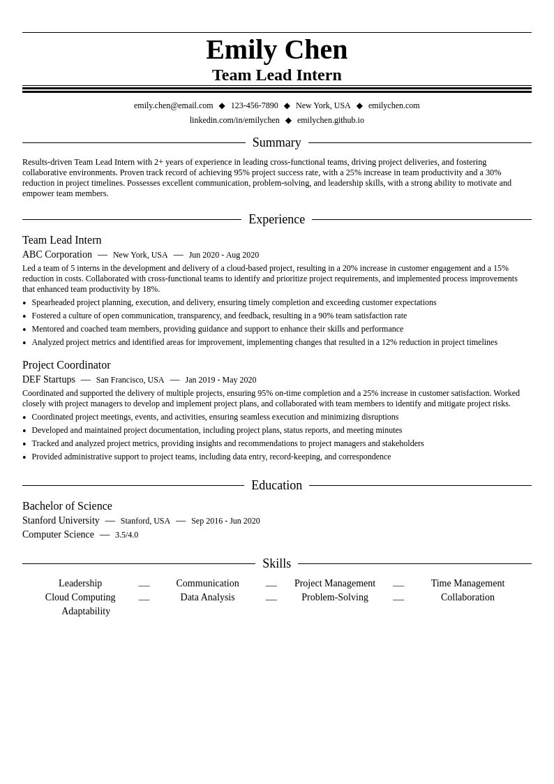 Team Lead Intern resume example