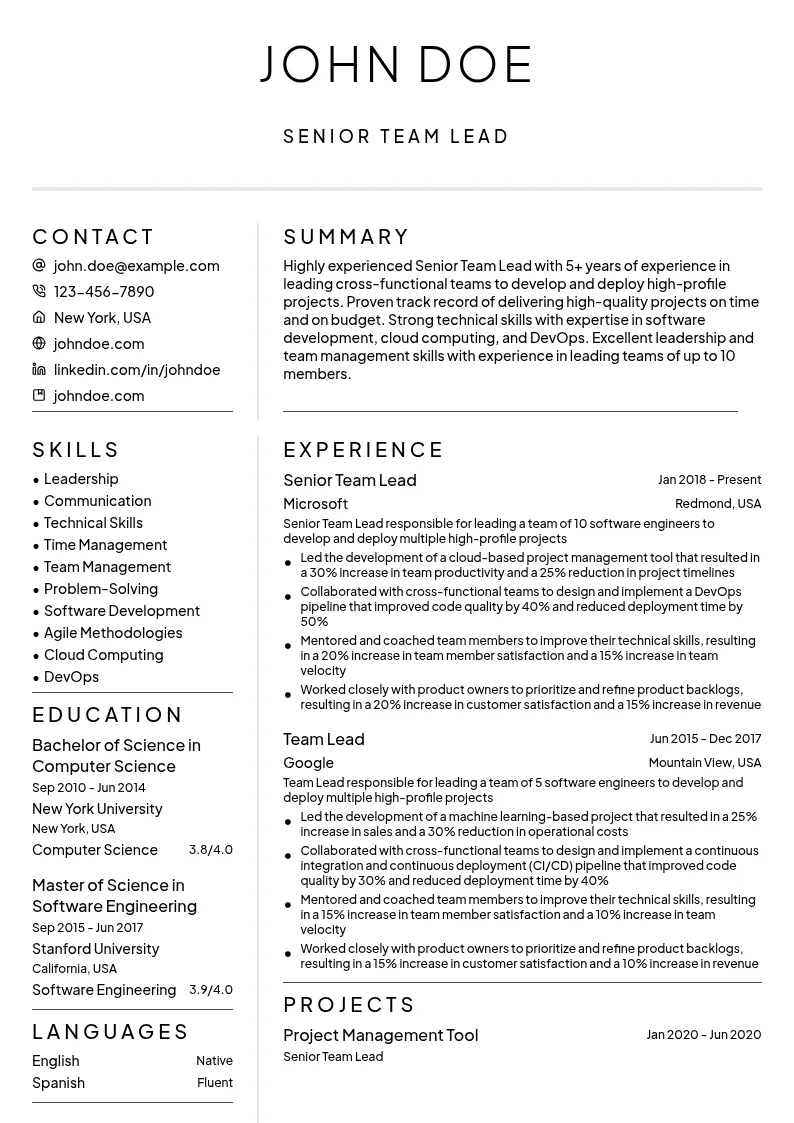 Senior Team Lead resume example