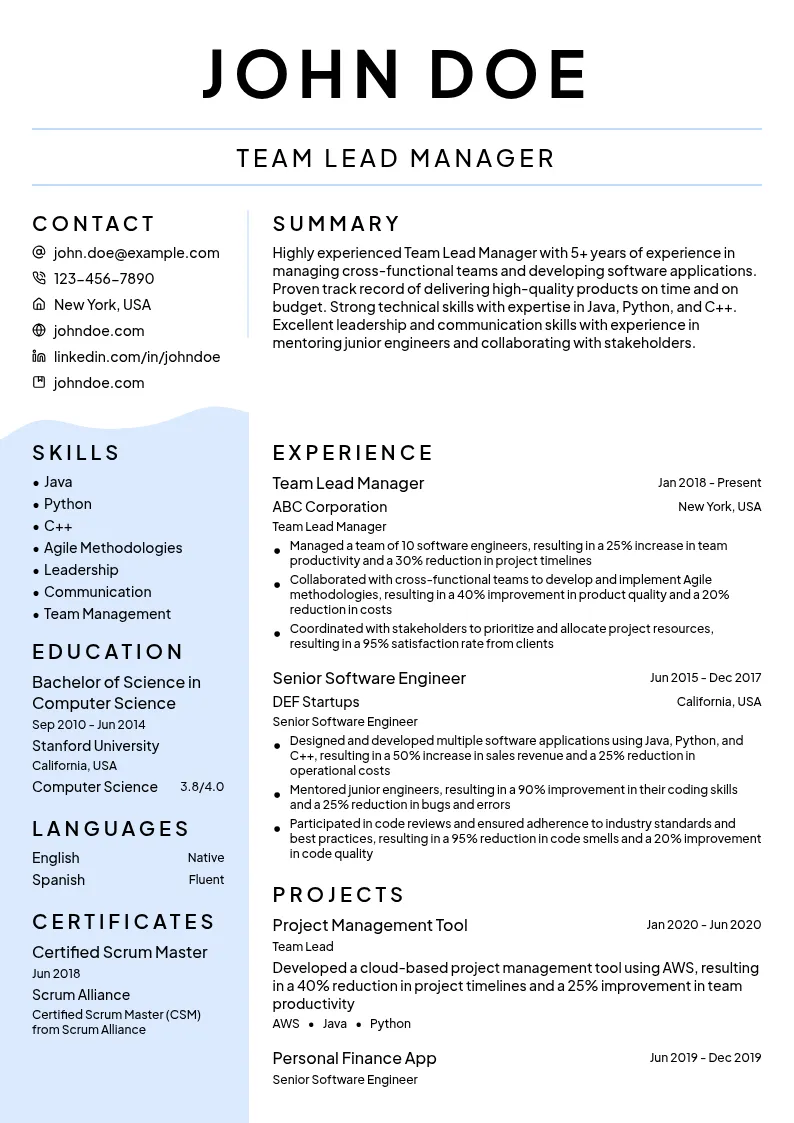 Team Lead Manager resume example