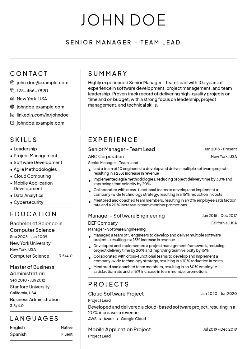 Senior Manager - Team Lead resume example
