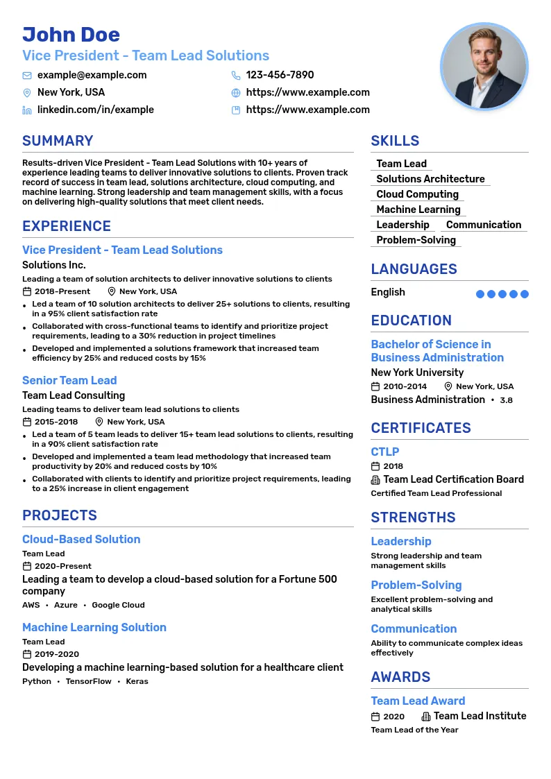 Vice President - Team Lead Solutions resume example