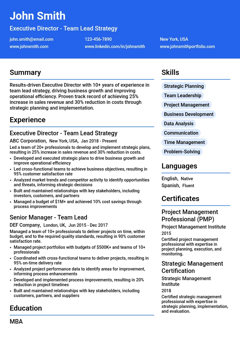 Executive Director - Team Lead Strategy resume example