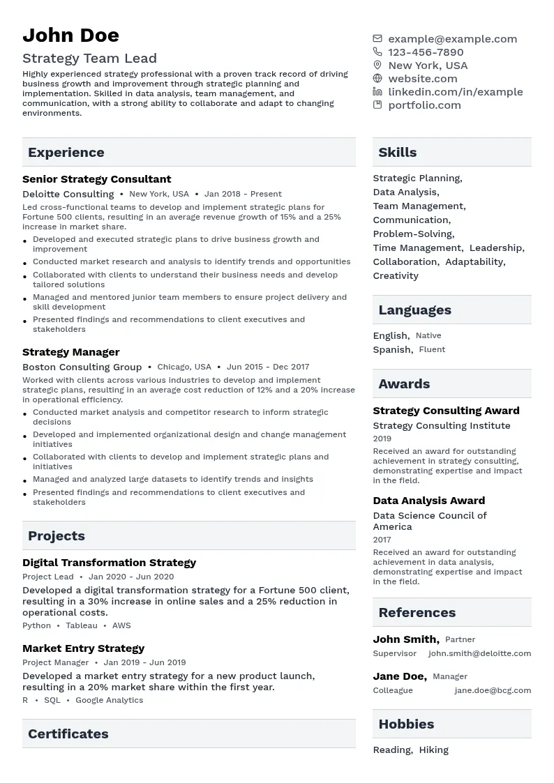Strategy Team Lead resume example