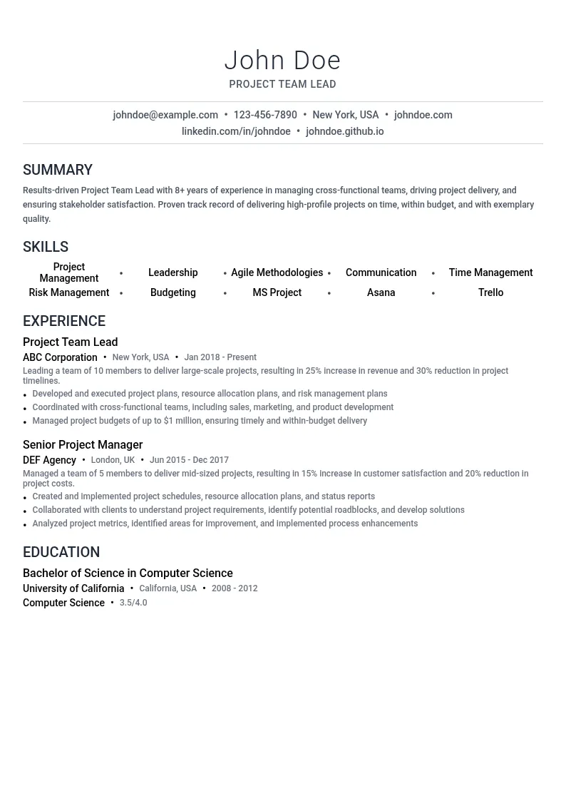 Project Team Lead resume example