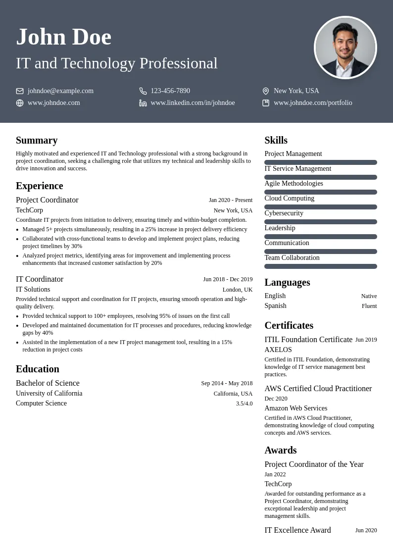 IT and Technology resume example