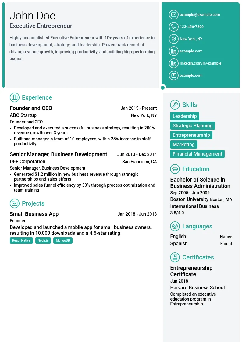 Executive Entrepreneur resume example