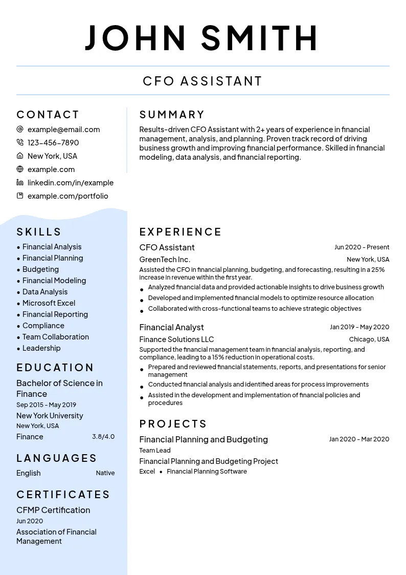 CFO Assistant resume example
