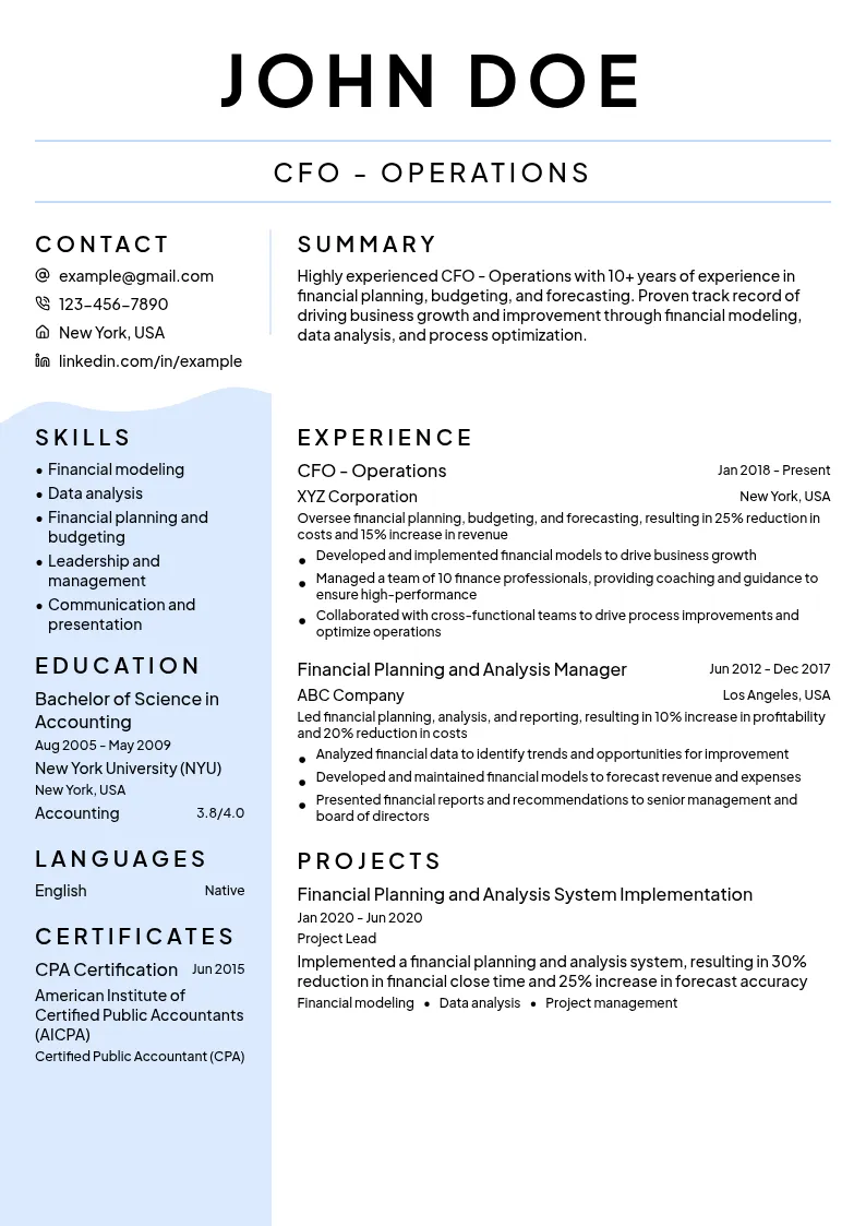 CFO - Operations resume example