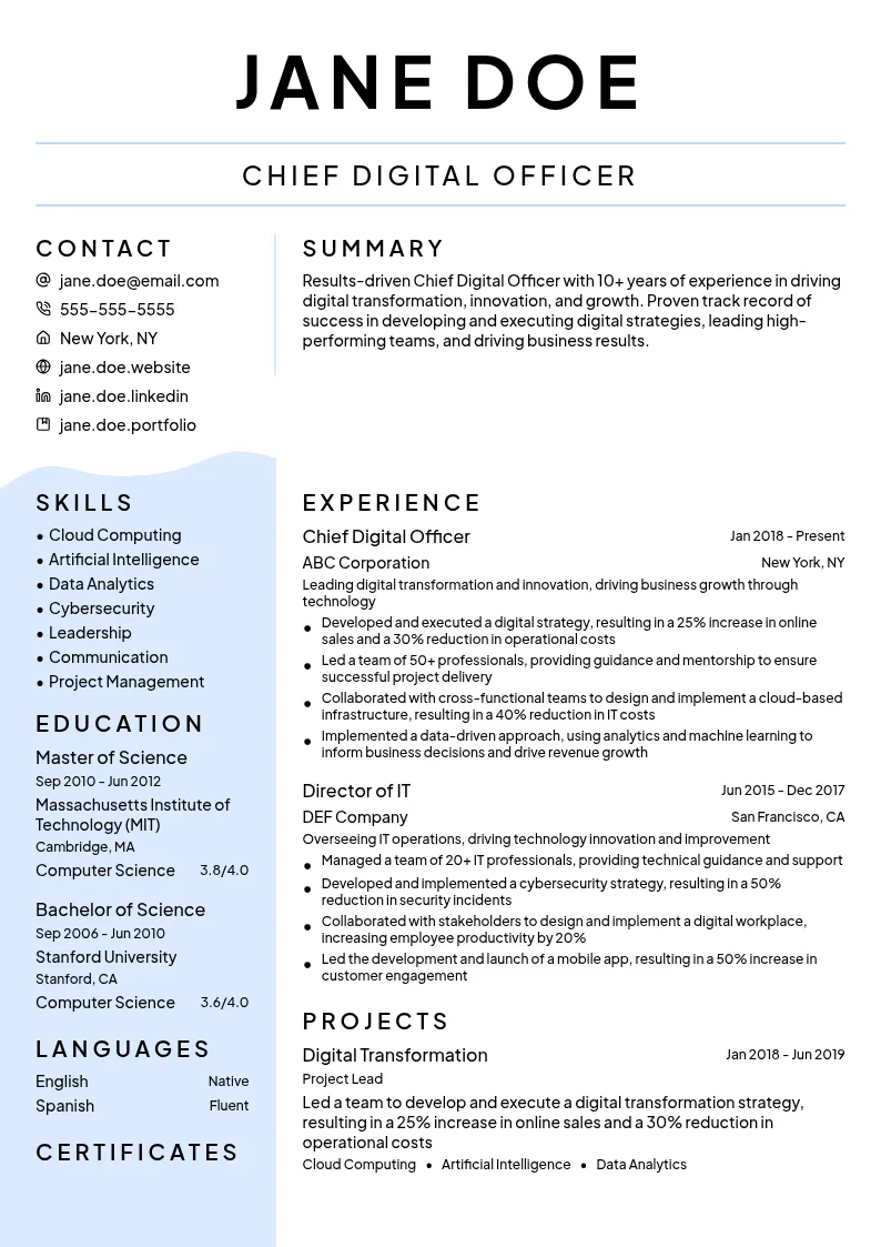 Chief Digital Officer resume example