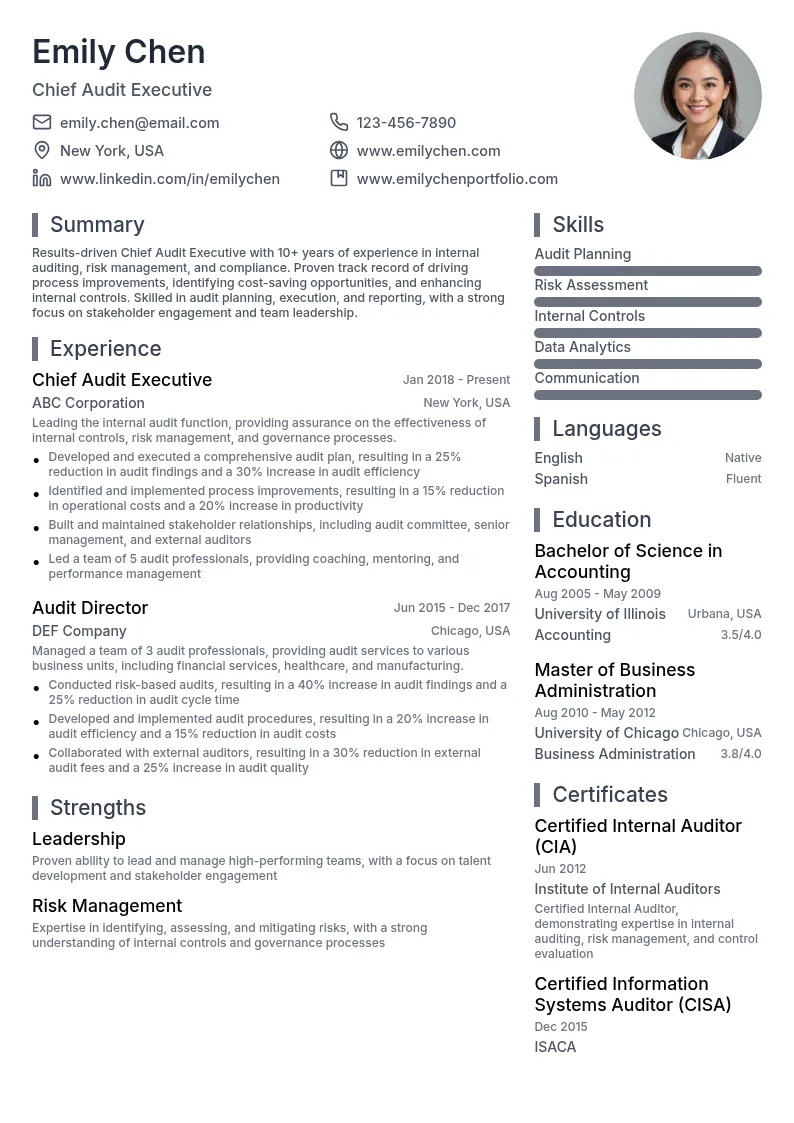 Chief Audit Executive resume example