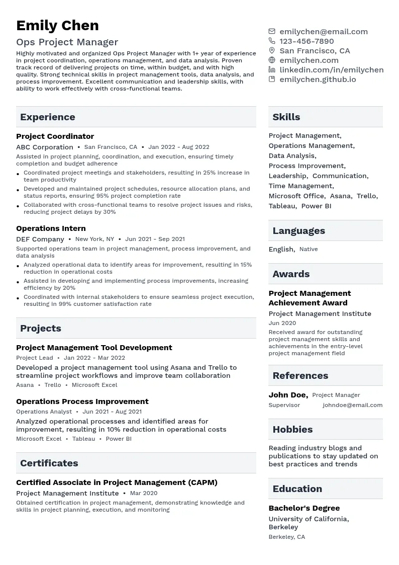 Ops Project Manager resume example