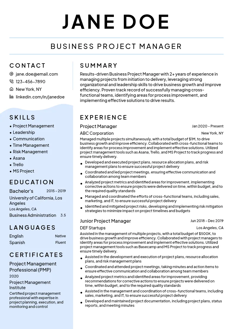 Business Project Manager resume example