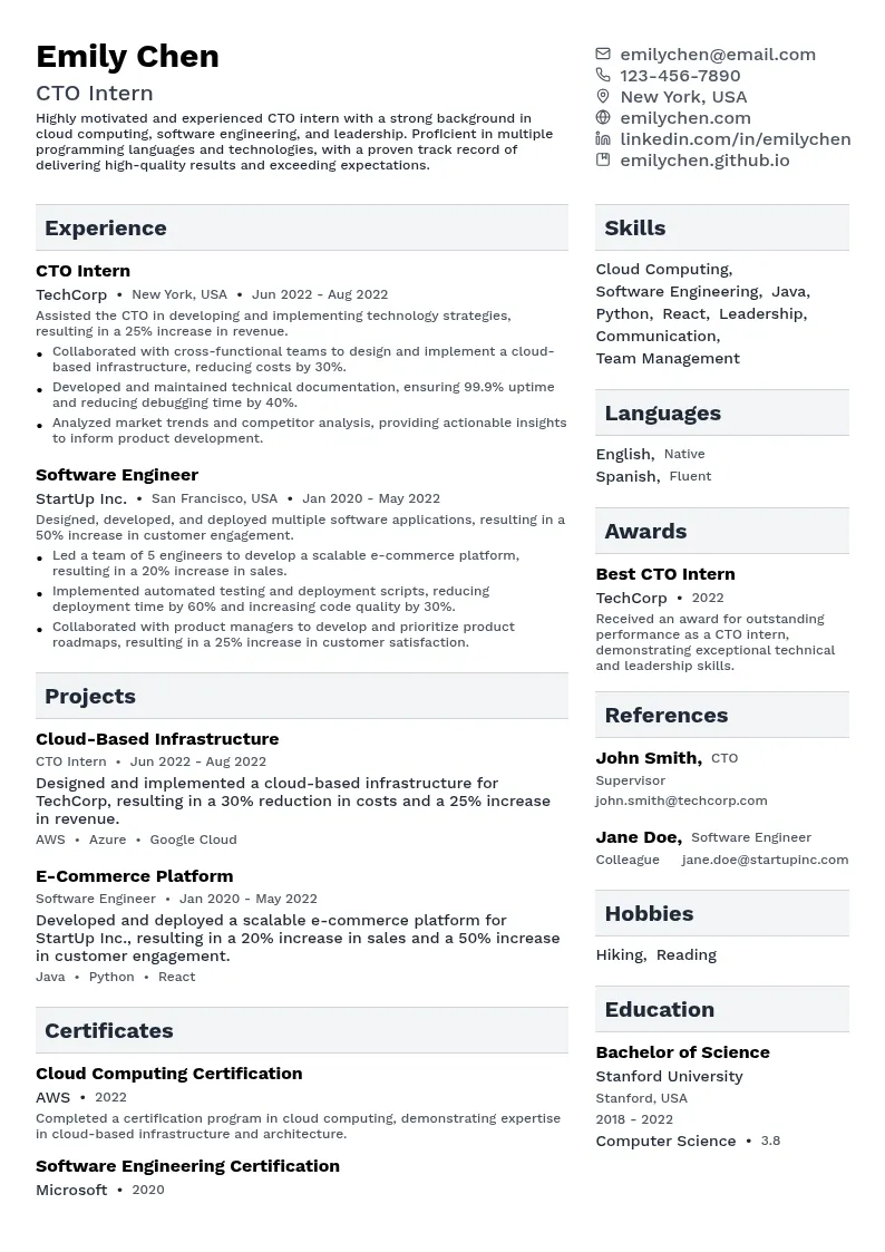 CTO Intern resume example