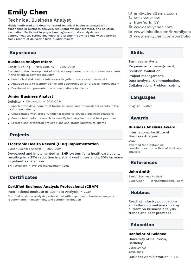Technical Business Analyst resume example