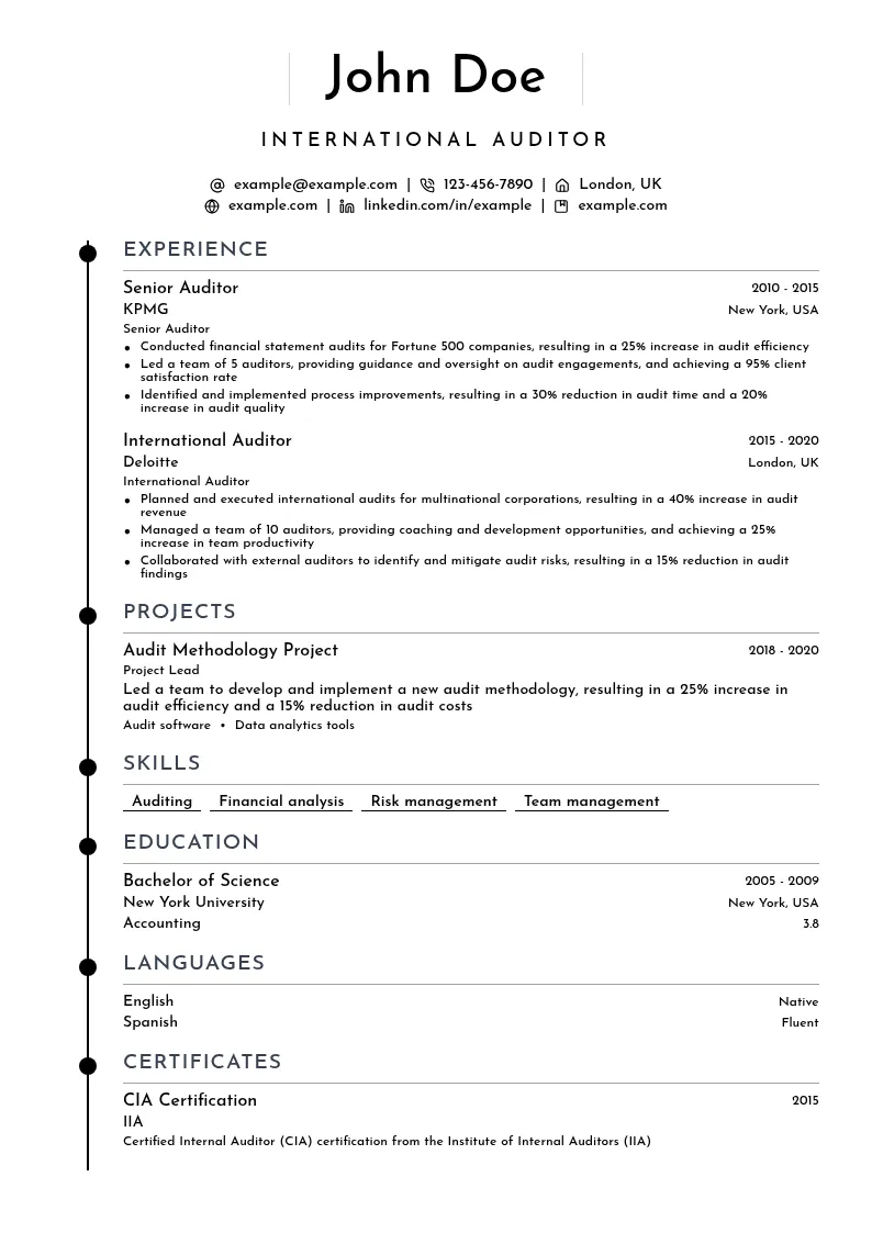 International Auditor resume example