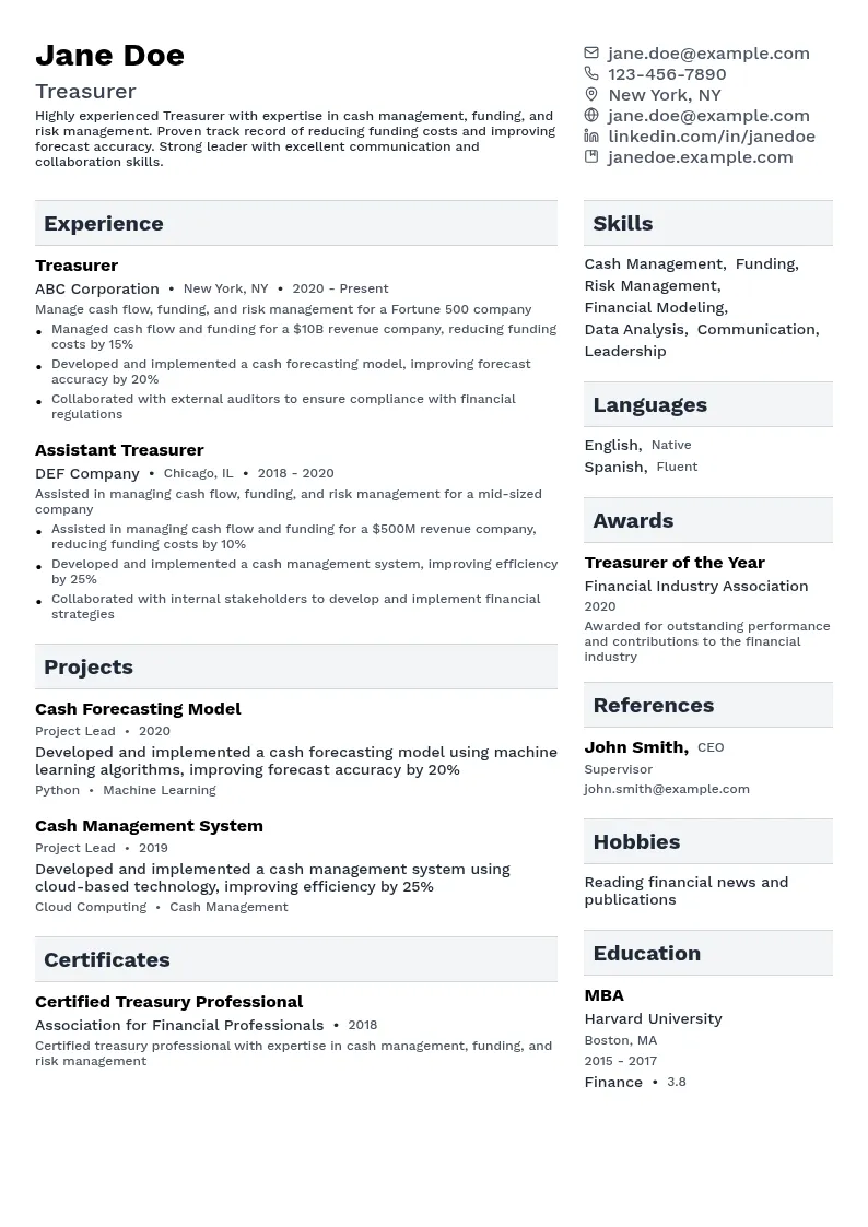 Treasurer resume example