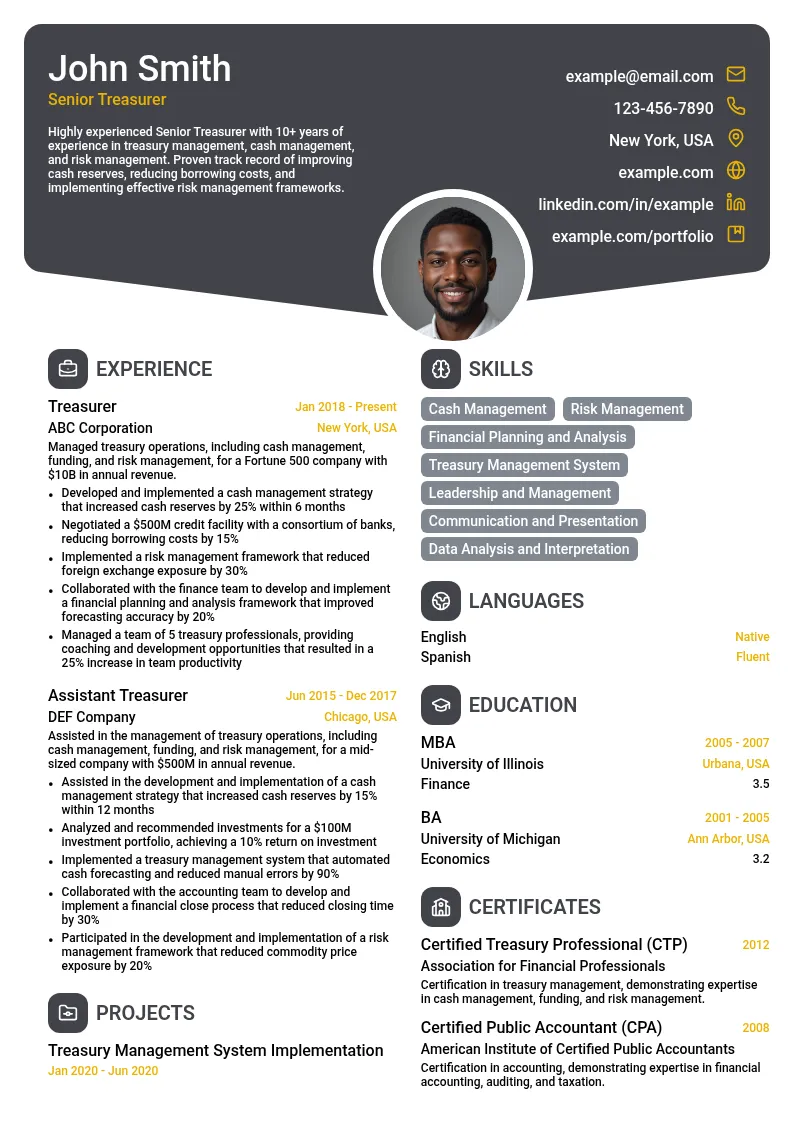 Senior Treasurer resume example