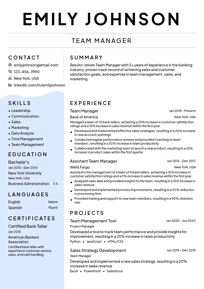 Team Manager resume example