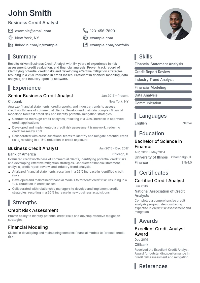 Business Credit Analyst resume example