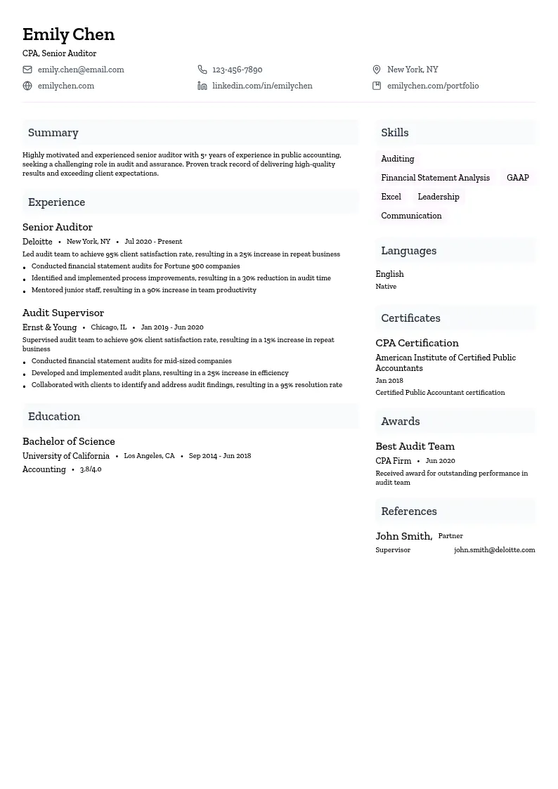 Audit and Assurance resume example