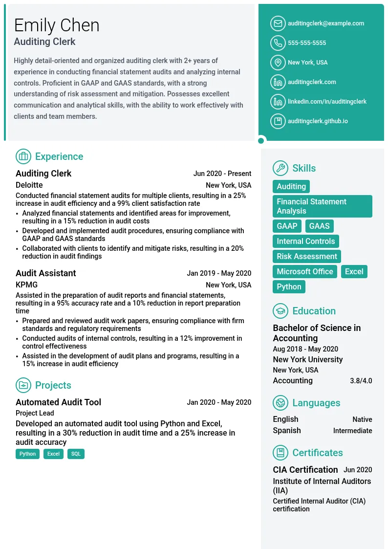 Auditing Clerk resume example