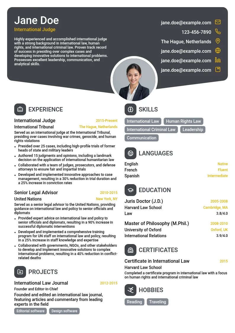 International Judge resume example