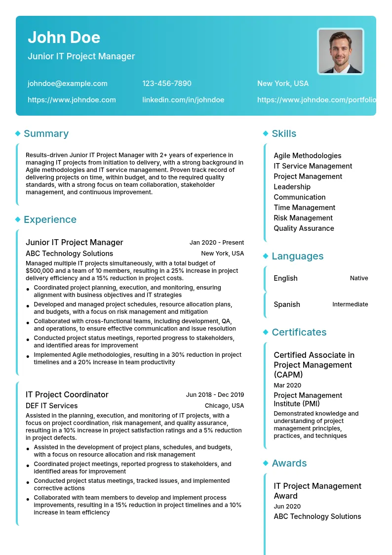 Junior IT Project Manager resume example