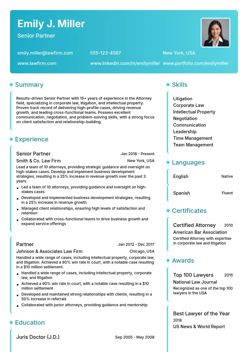 Senior Partner resume example