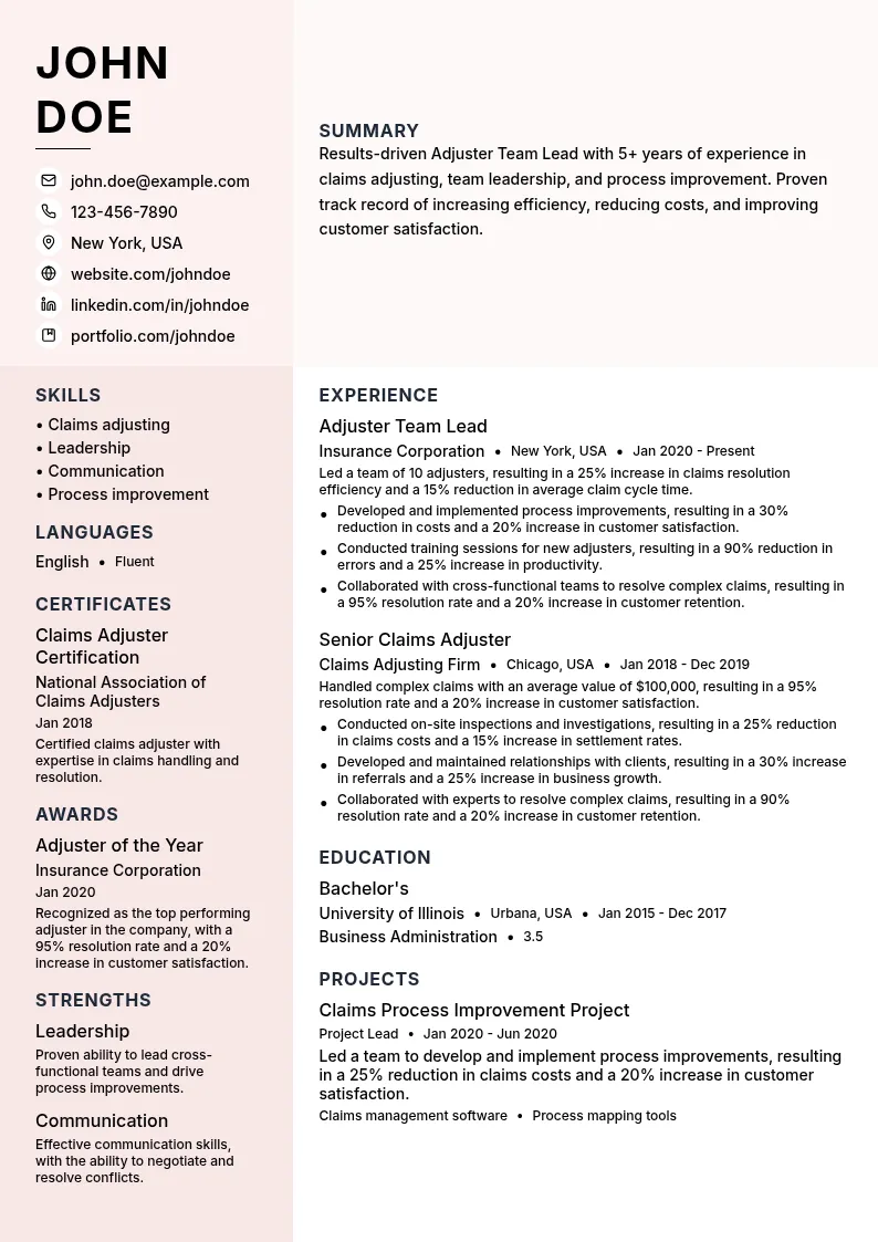 Adjuster Team Lead resume example