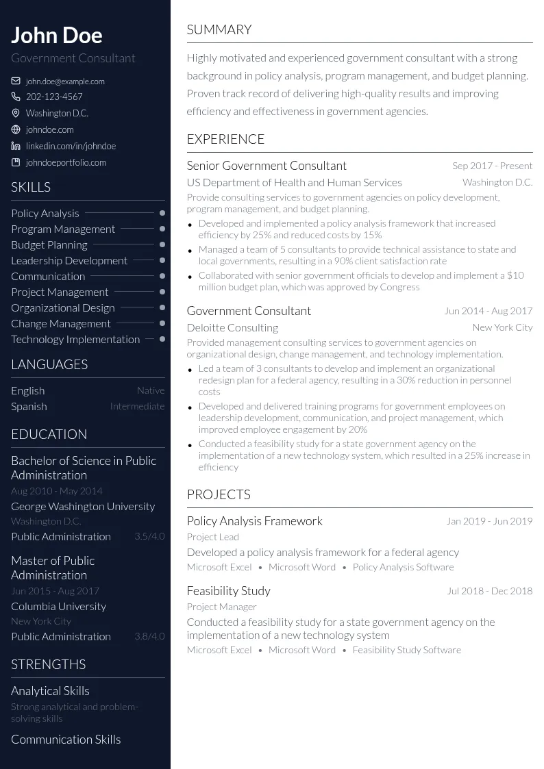 Government Consultant resume example