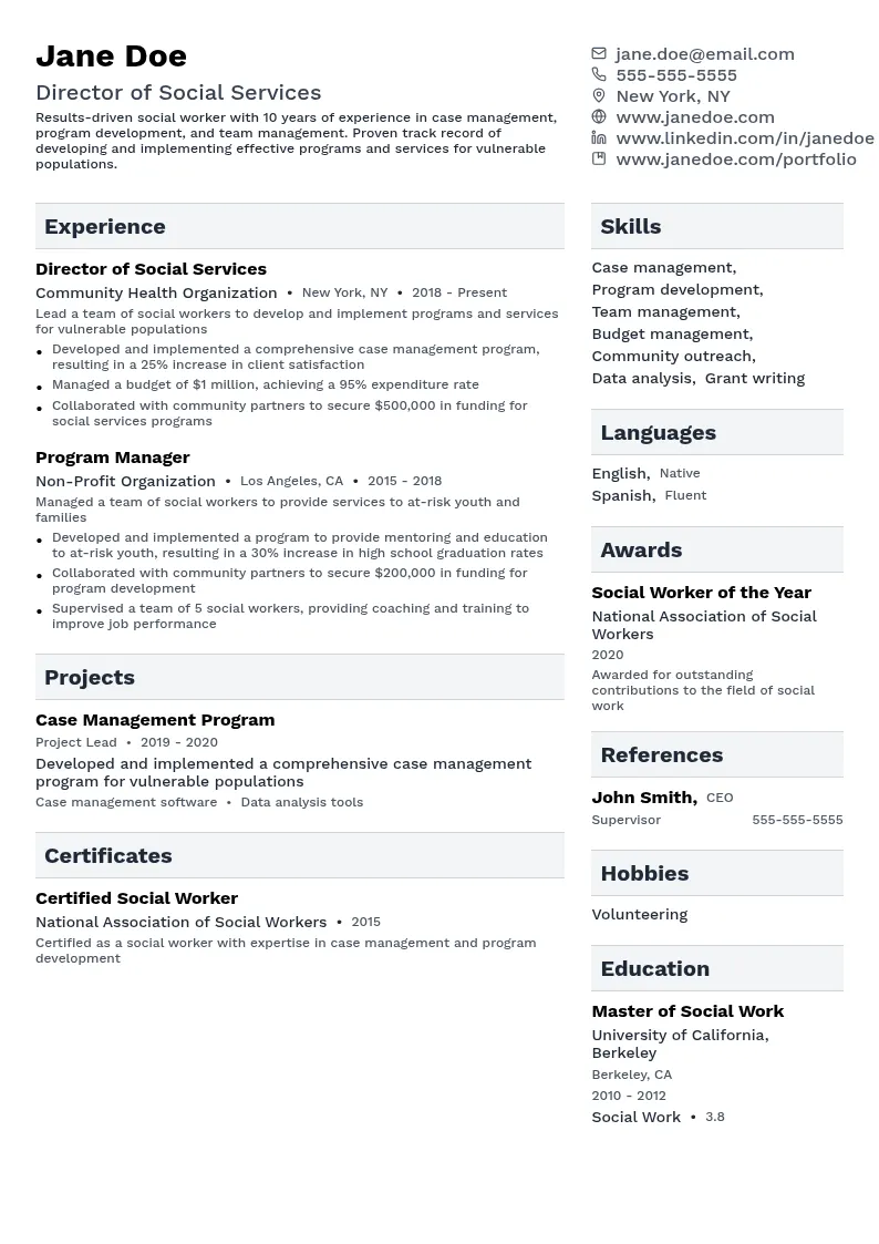 Director of Social Services resume example