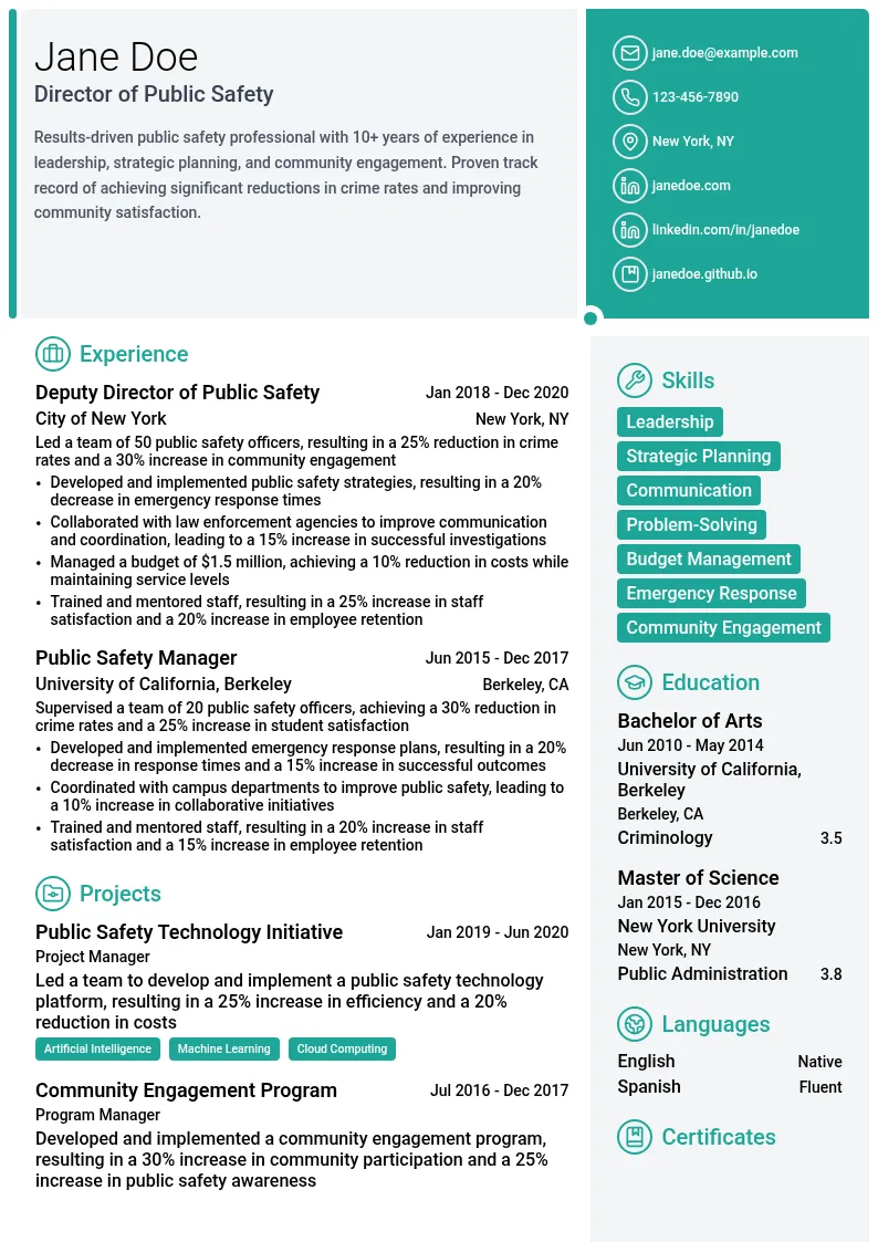 Director of Public Safety resume example