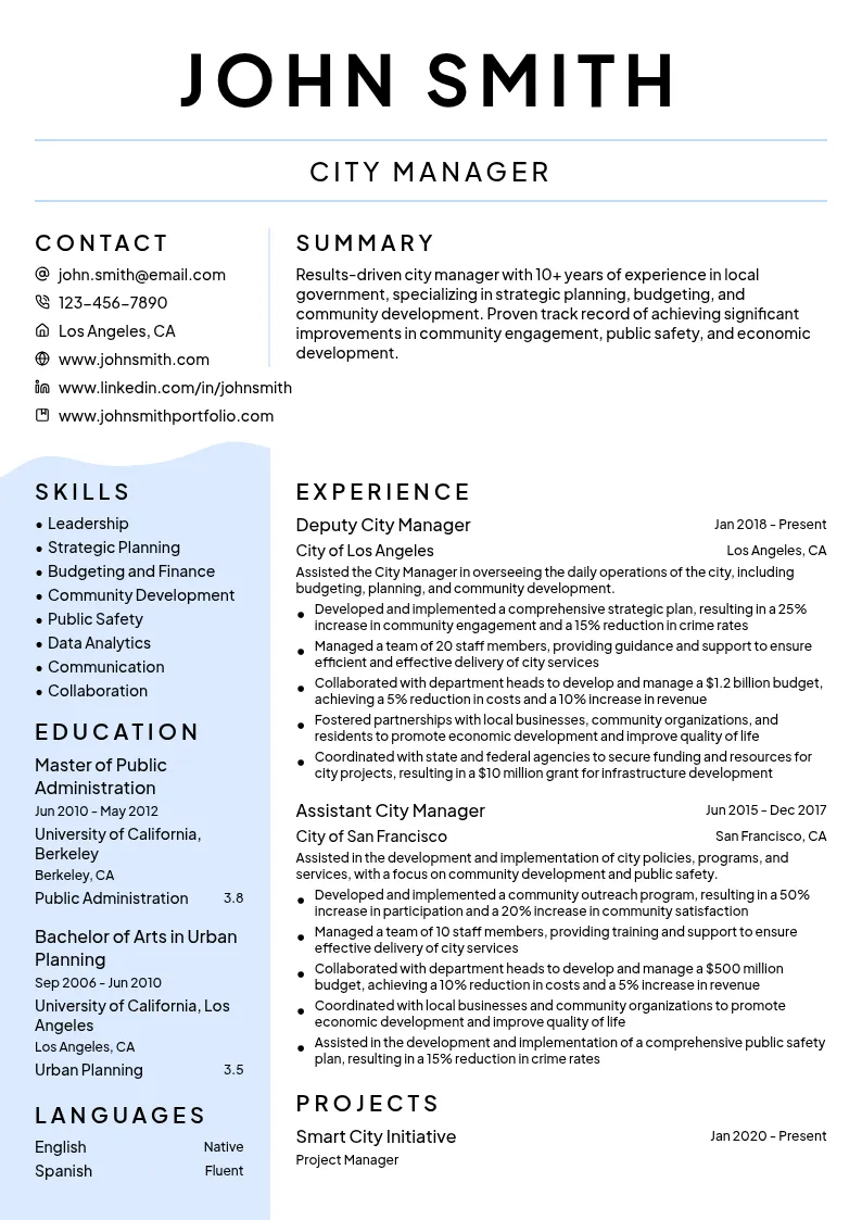 City Manager - Senior Level resume example