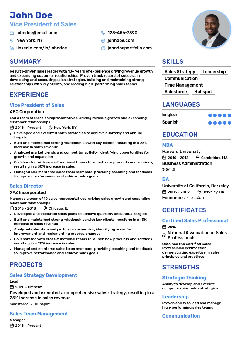 Vice President of Sales resume example