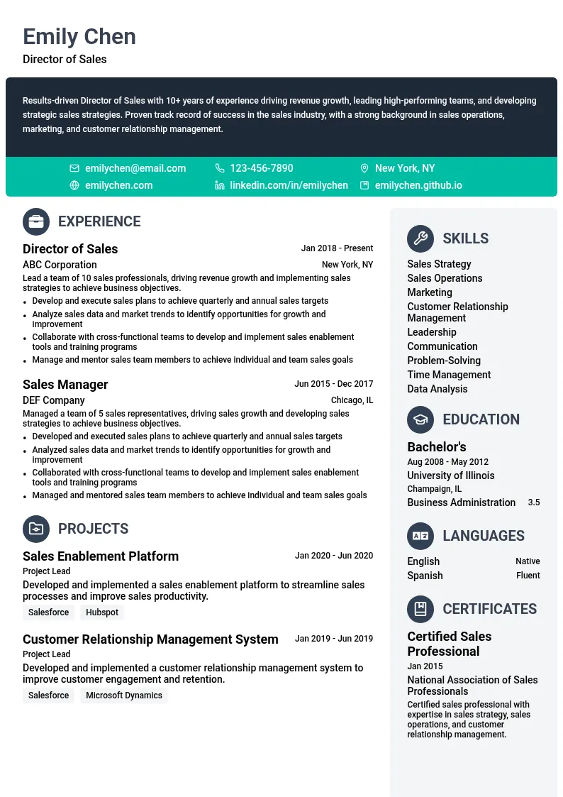 Director of Sales resume example