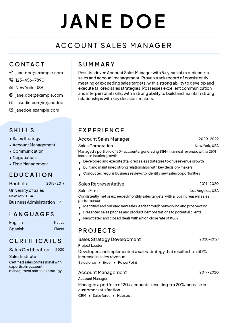 Account Sales Manager resume example