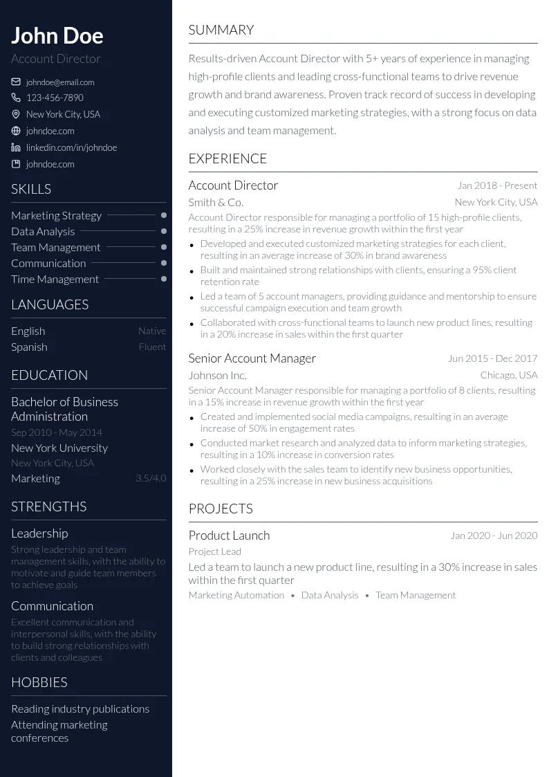 Account Director resume example