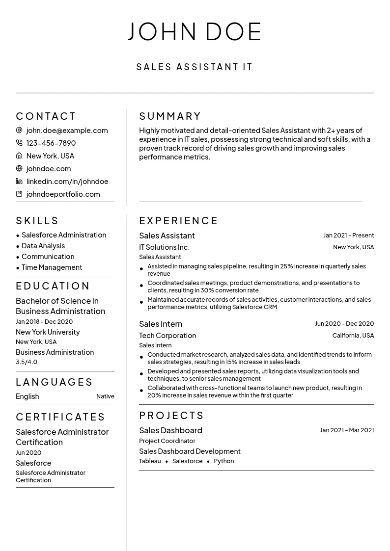 Sales Assistant IT resume example