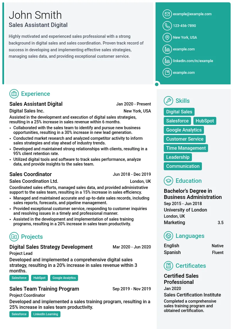 Sales Assistant Digital resume example