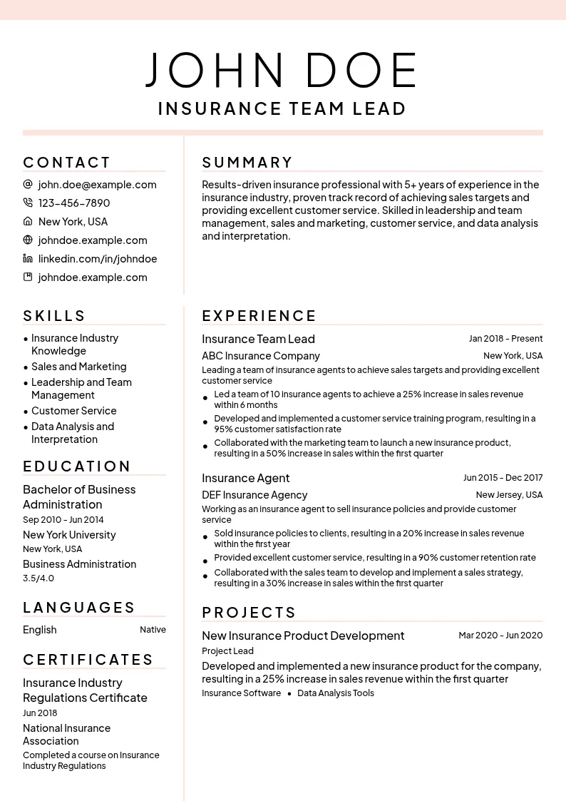 Insurance Team Lead resume example