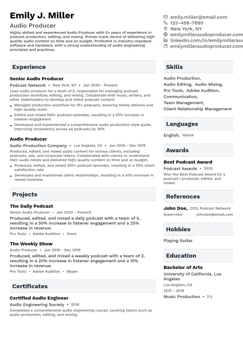 Audio Producer resume example