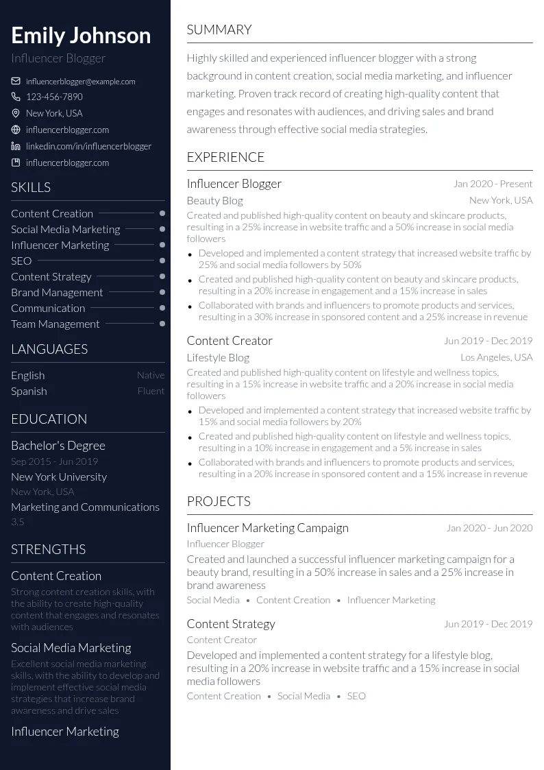 Influencer Blogger resume example
