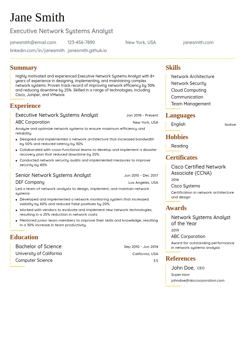 Executive Network Systems Analyst resume example